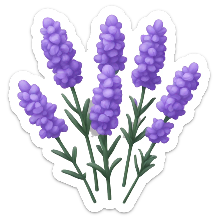 lavender flowers sticker