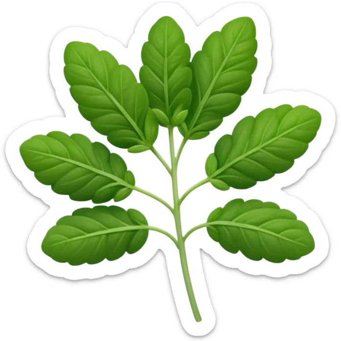 small sprig of fresh oregano with oval slightly fuzzy green leaves on thin tender stems, leaves clustered and layered with subtle natural curves and soft midrib veins, color ranges from vibrant to muted green, no pot scissors or extras, apple emoji style, soft lighting, subtle shadows, emoji scale sticker