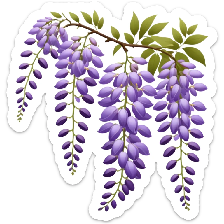Japanese style wisteria (fuji) flower in elegant ukiyo-e inspired design, cascading purple blooms hanging like in traditional Japanese gardens, with gentle curved lines sticker