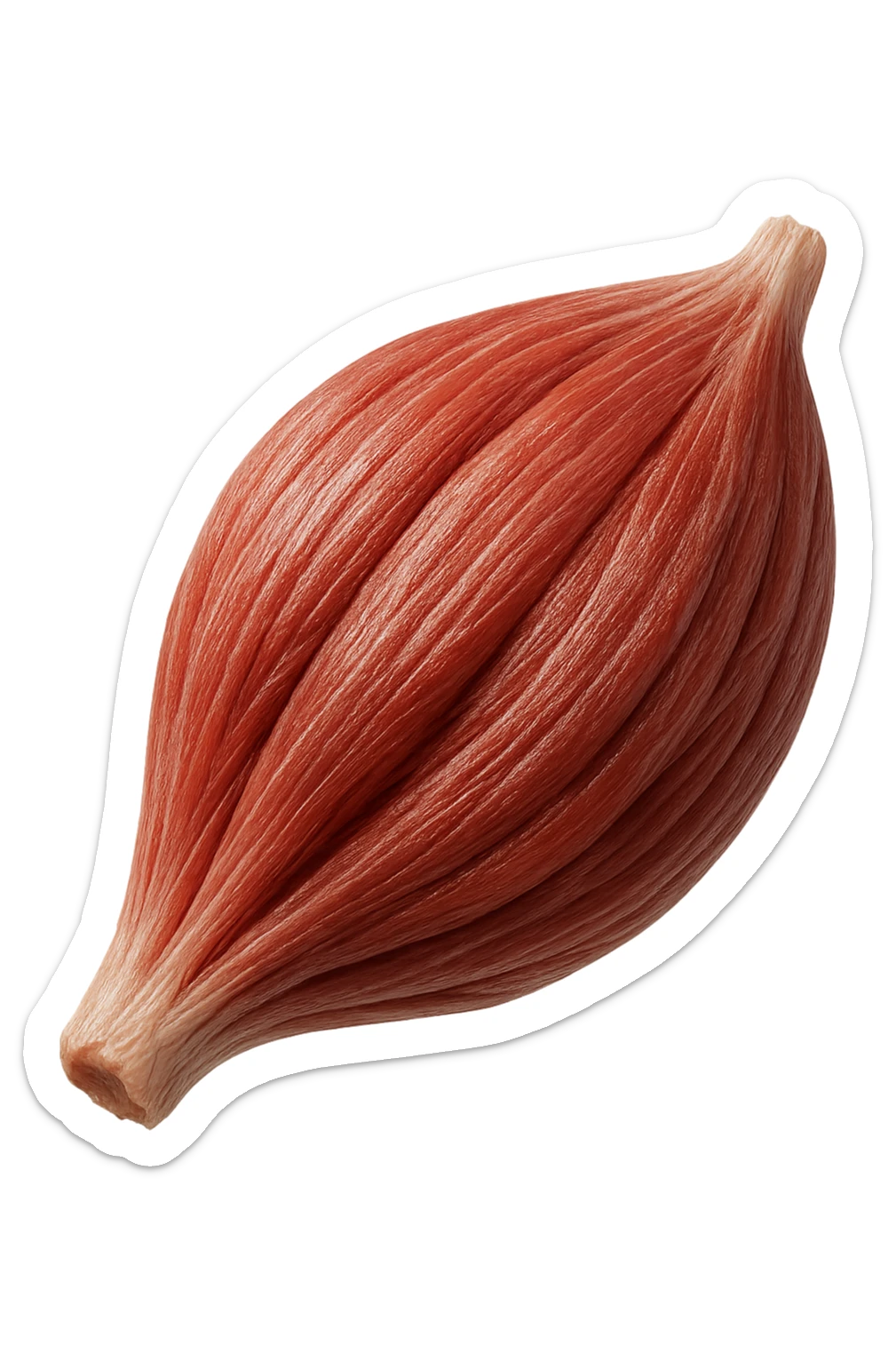 porzione di tessuto muscolare umano iperrealistico fluttua in aria, iperrealistico 4k sticker