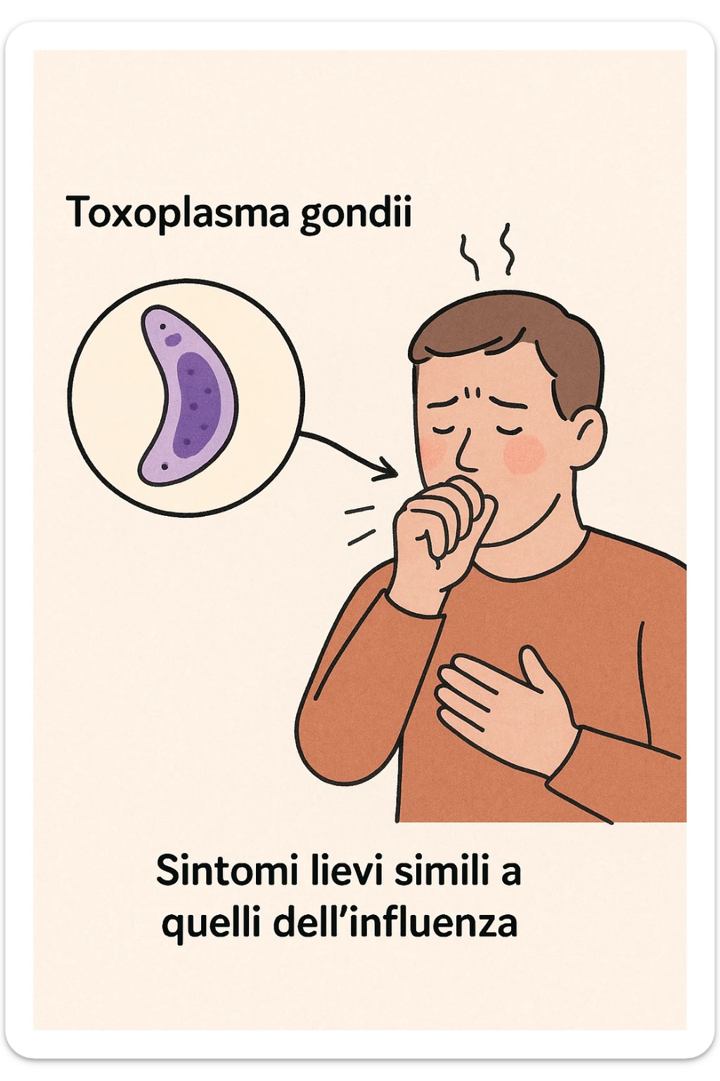 Toxoplasma gondii, infetta uomo ha sintomi solo di lieve influenza in italiano sticker