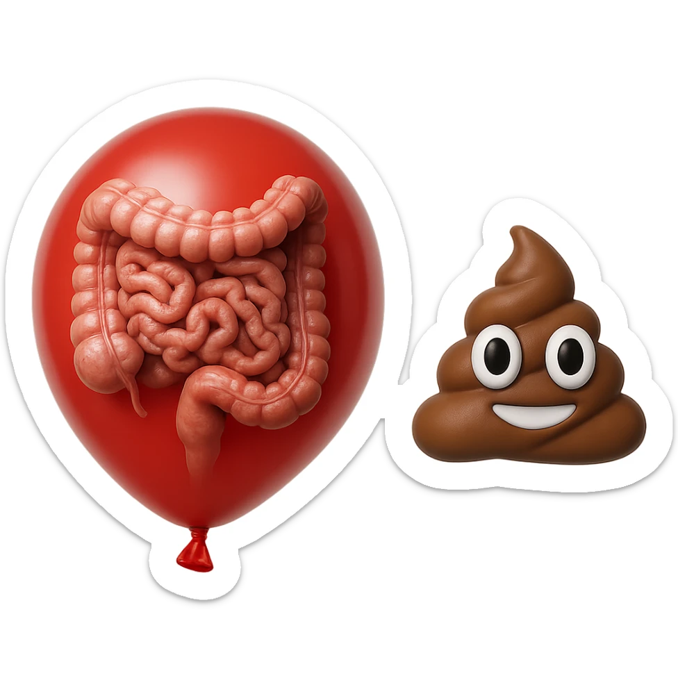 intestino umano anatomico chiuso in un palloncino rosso che simboleggia gonfiore, accanto un simbolo di cacca stile emoji iphoneche simboleggia "diarrea", iperrealistico 4k sticker