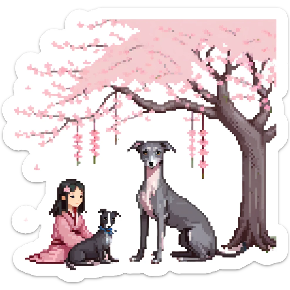 A young Chinese girl with long black hair and a pure dark grey Italian Greyhound with absolutely NO white markings anywhere on its body sitting under a cherry blossom tree. The dog must be completely solid dark grey with no white on muzzle, paws, or chest. sticker