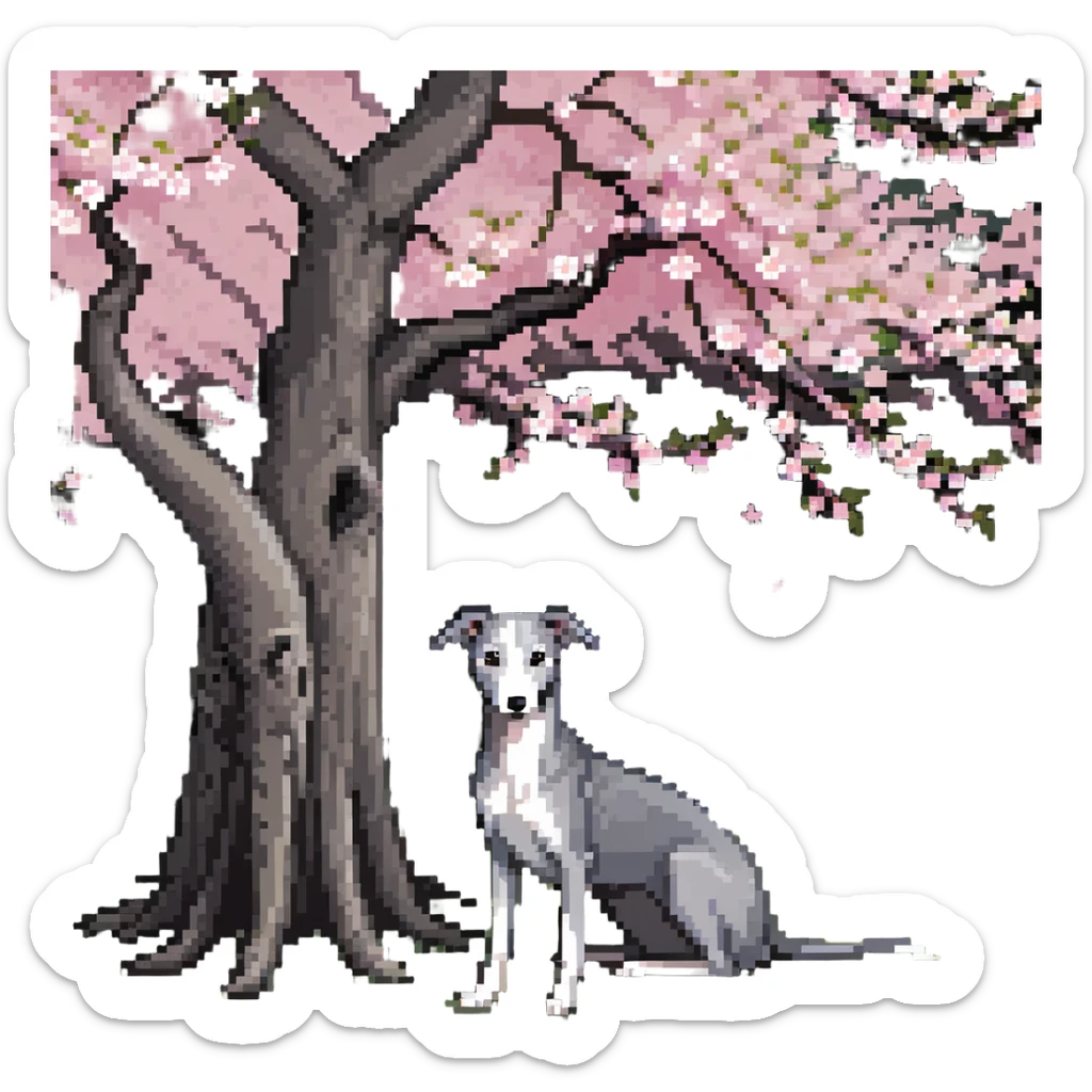 A very beautiful and attractive 25-year-old Chinese woman with long flowing black hair and a pure solid dark grey whippet with ABSOLUTELY NO white markings anywhere on its body sitting under a cherry blossom tree. The whippet must be completely solid dark grey with no white on chest, no white on muzzle, no white on paws - entirely one solid dark grey color. sticker