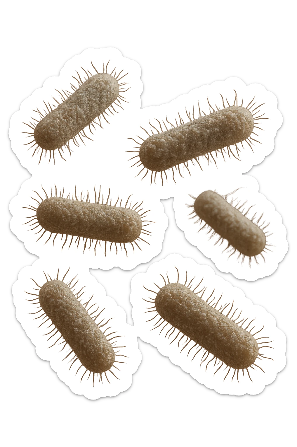 6 batteri intestinali iperrealistici sul bordeaux fluttuano in aria, iperrealistico 4k sticker