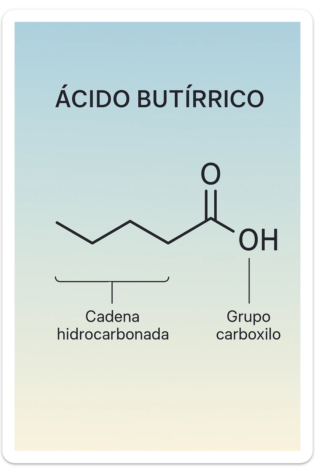 the acido butirrico molecule floats in the center, with animated arrows or labels pointing to the carboxyl group and the hydrocarbon chain. The background is a soft gradient, and the overall style is clean, professional, and suitable for educational materials. sticker