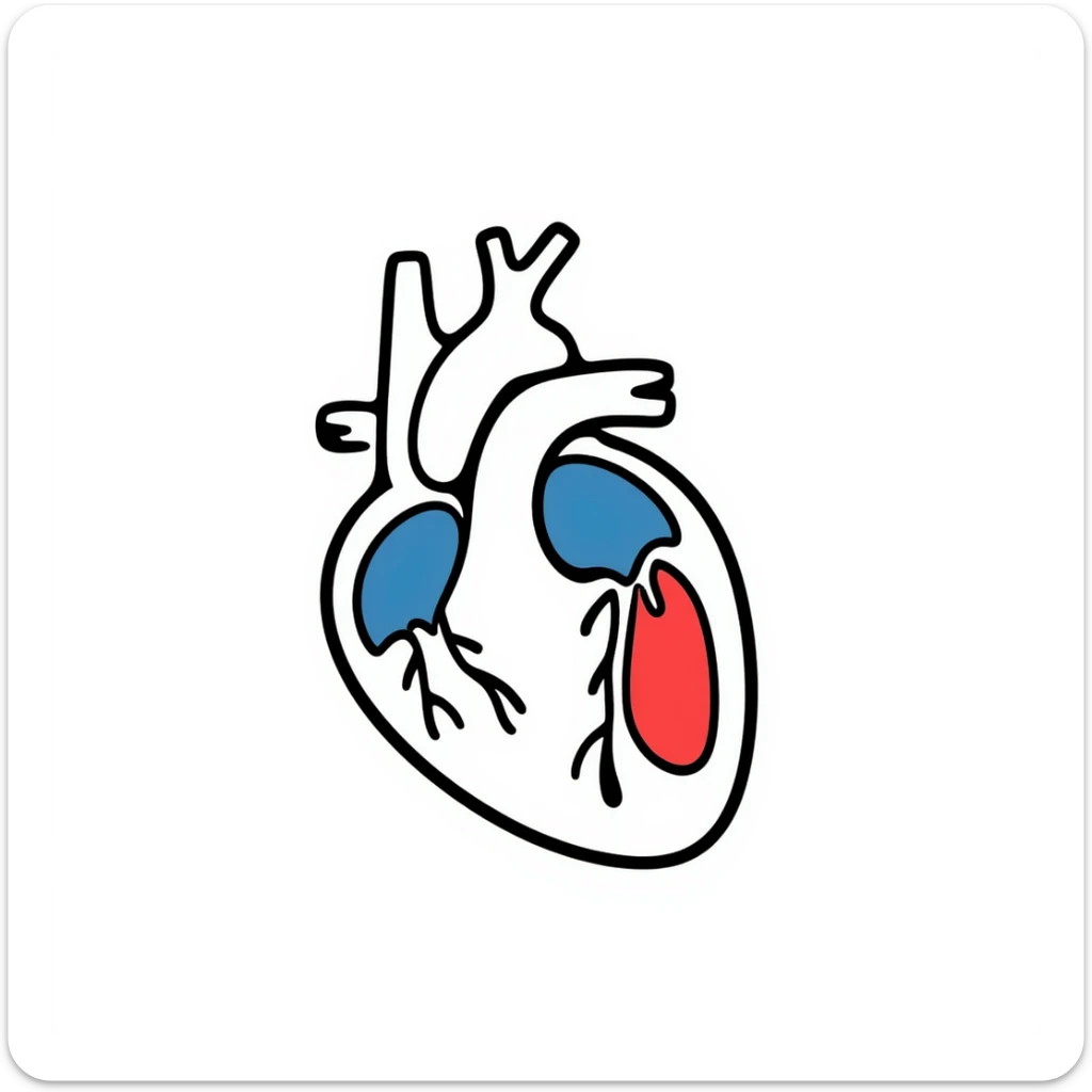A hand-drawn anatomical heart with detailed chambers and arteries in medical diagram style, showing blue veins and red arteries, with clear internal structure, oxygenated blood in red and deoxygenated blood in blue sticker