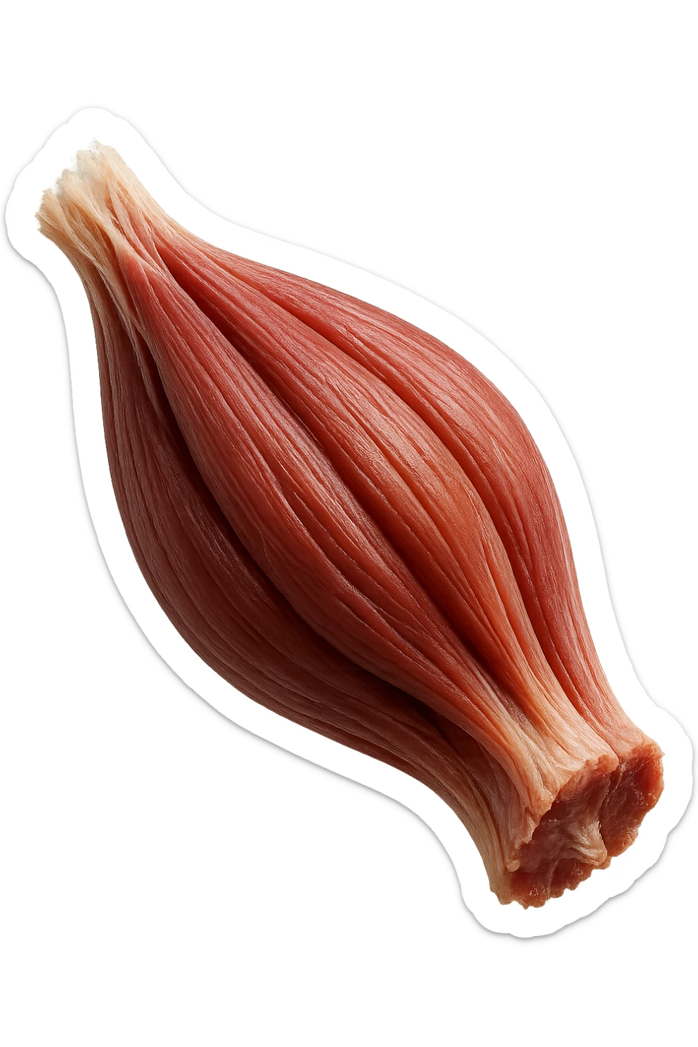 porzione di tessuto muscolare umano iperrealistico fluttua in aria, iperrealistico 4k sticker