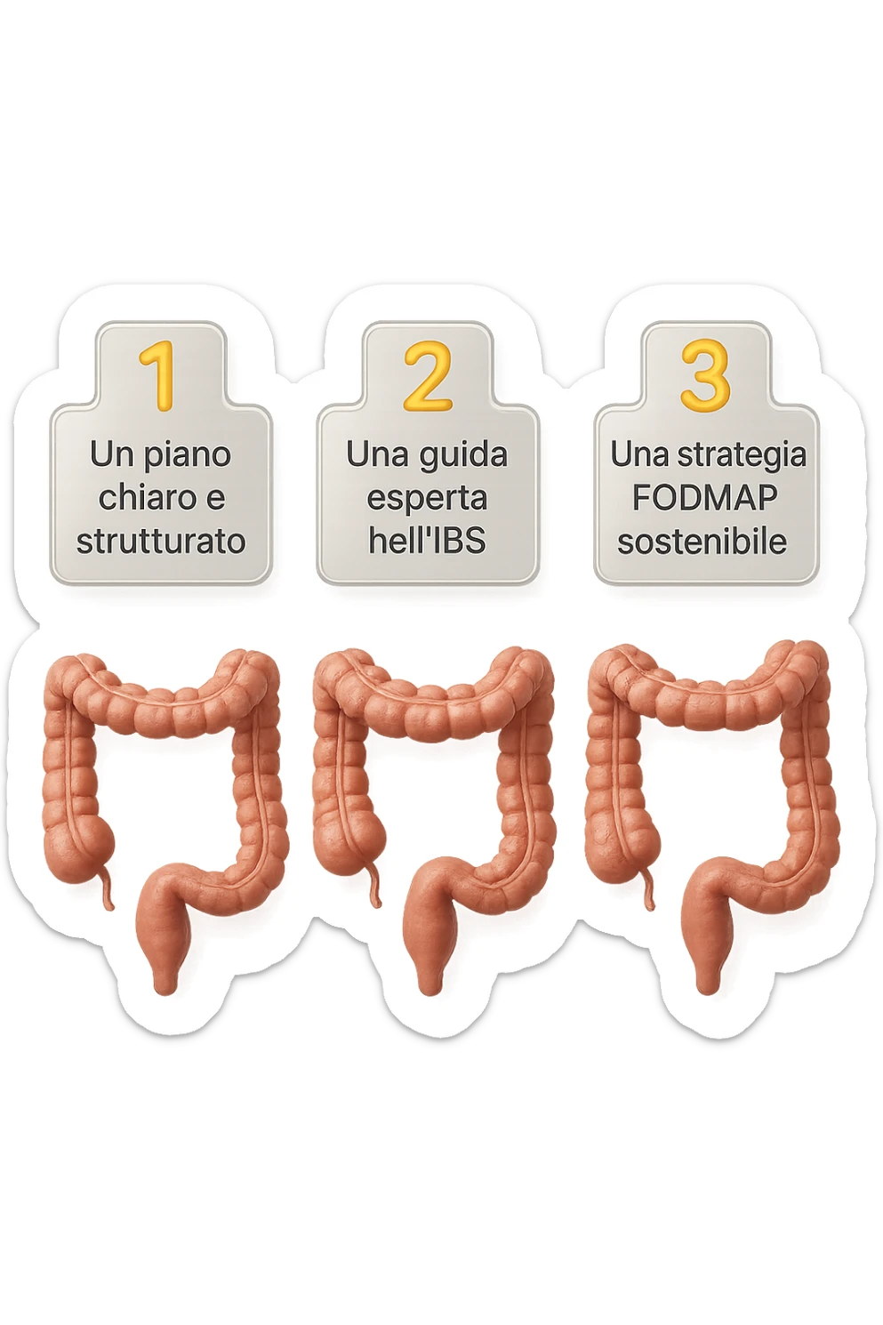 emoji stile iphone di 3 targhette numerate con intestino realistico davanti ad ogni targhetta, le targhette sono:
"1 – Un piano chiaro e strutturato
2 – Una guida esperta nell’IBS
3 – Una strategia FODMAP sostenibile"
, iperrealistico 4k sticker