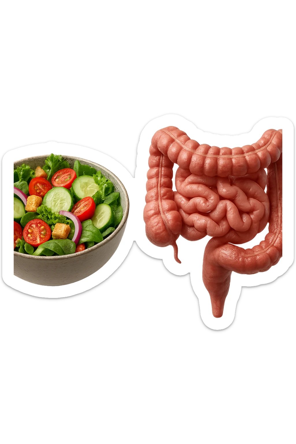 bowl di insalata fluttua in aria insieme ad intestino umano anatomico realistico, IPERREALISTICO 4K sticker