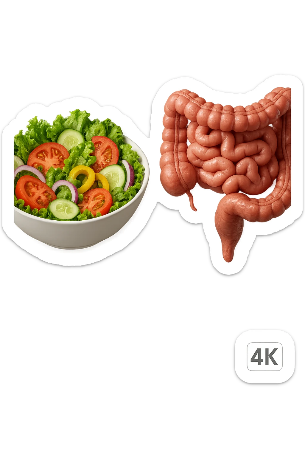 bowl di insalata fluttua in aria insieme ad intestino umano anatomico realistico, IPERREALISTICO 4K sticker