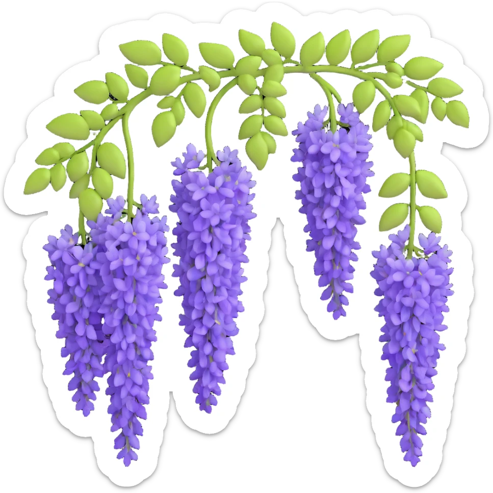 Realistic hanging wisteria racemes with detailed grape-like clusters of lavender flowers cascading downward, accompanied by light green compound leaves sticker