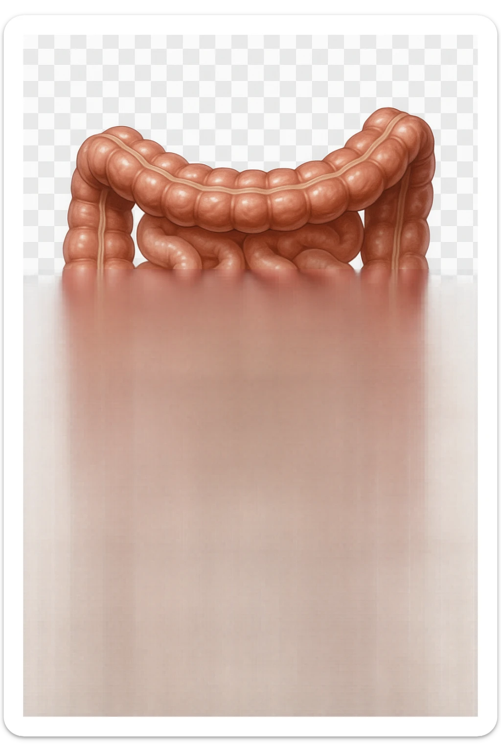 Realistic medical image of microscopic parasites leaving the intestines after taking natural kinesiological drops, symbolizing detox and cleansing. sticker
