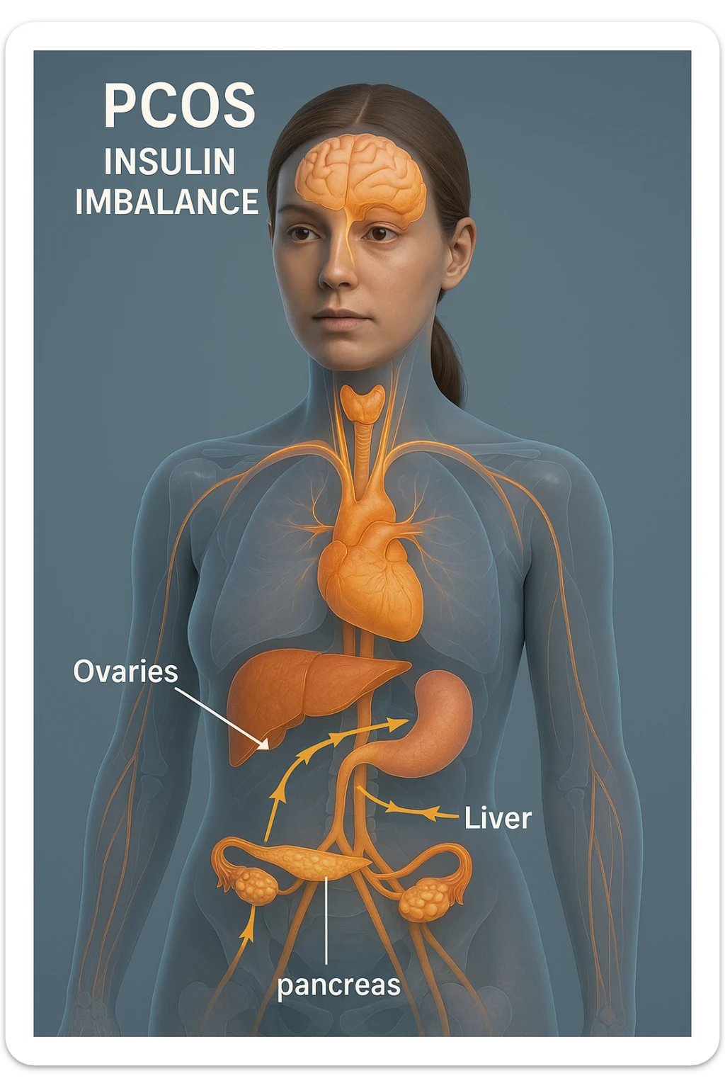 Donna con insulina fuori controllo  in 3D immagine medica donna pcos sticker