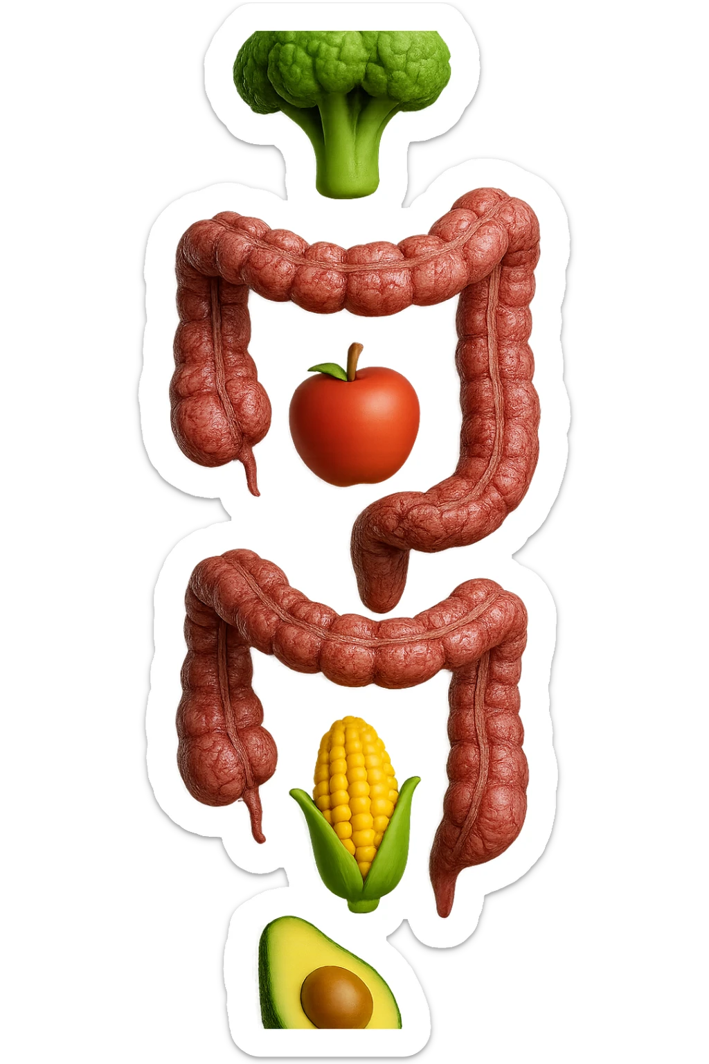 emoji stile iphone in 3d di cibo sano che fluttua in aria vericalmente insieme a pezzi di colon umano anatomico, iperrealistico 4k sticker