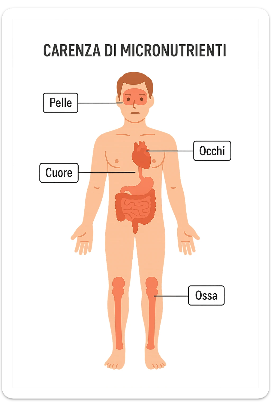 corpo umano in carenza di micronutrienti in italiano sticker