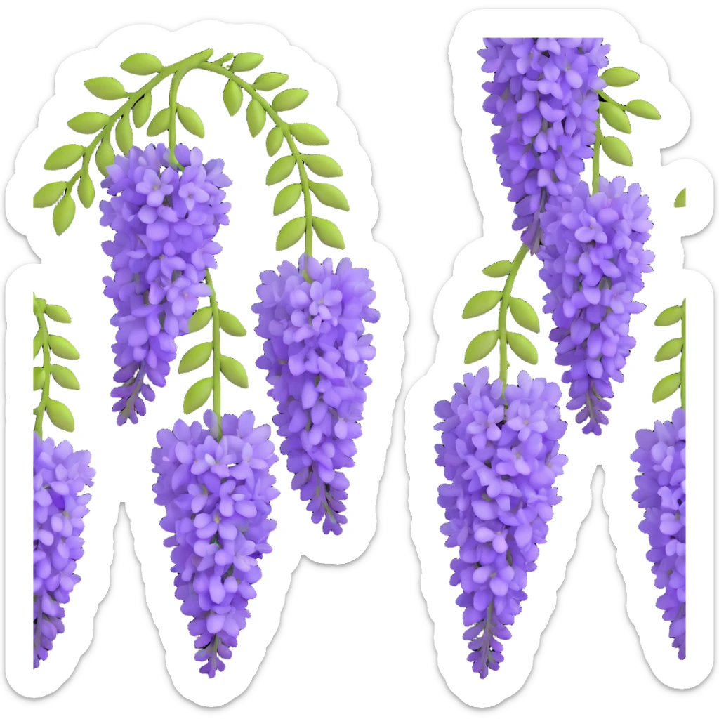 Detailed wisteria blossom with hanging clusters of lavender flowers in pendulous racemes and delicate green foliage sticker