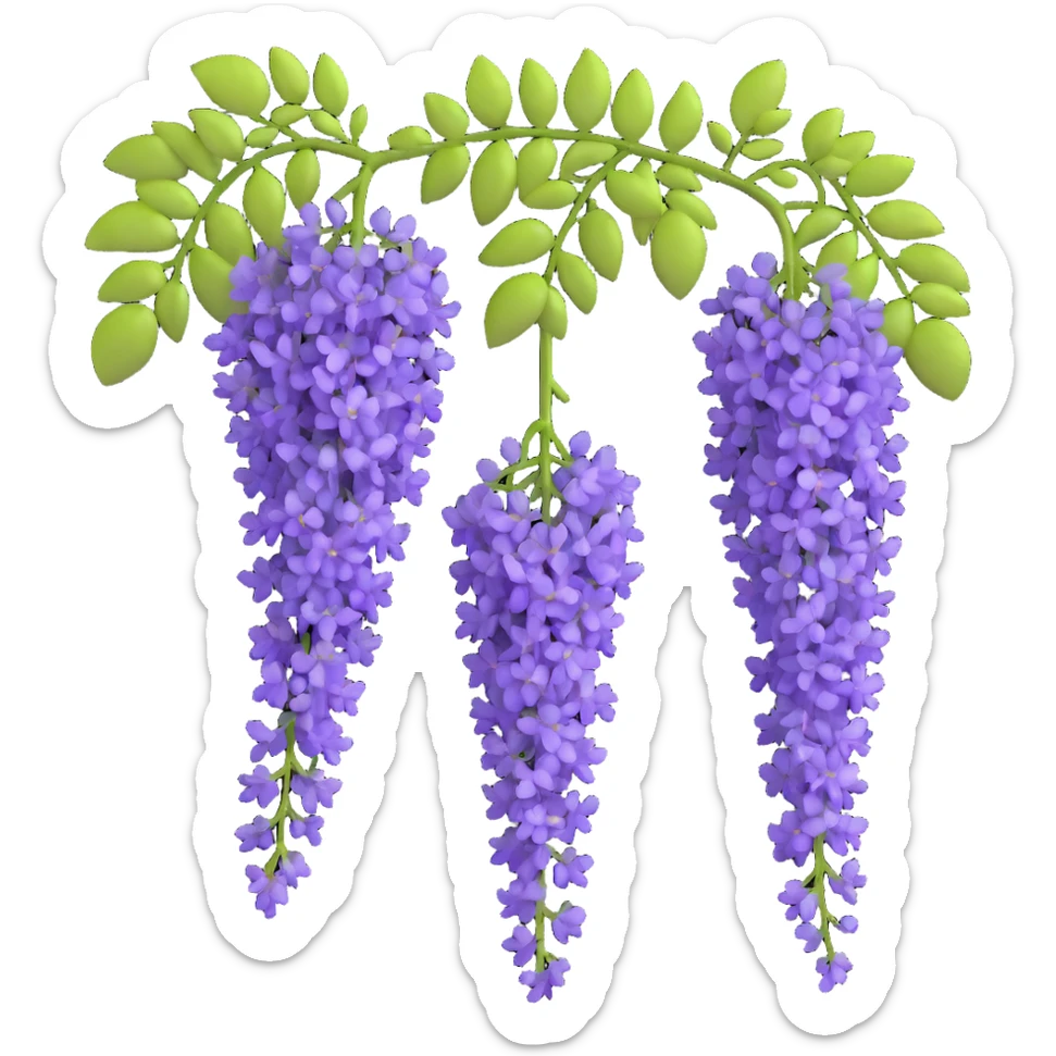 Realistic hanging wisteria racemes with detailed grape-like clusters of lavender flowers cascading downward, accompanied by light green compound leaves sticker