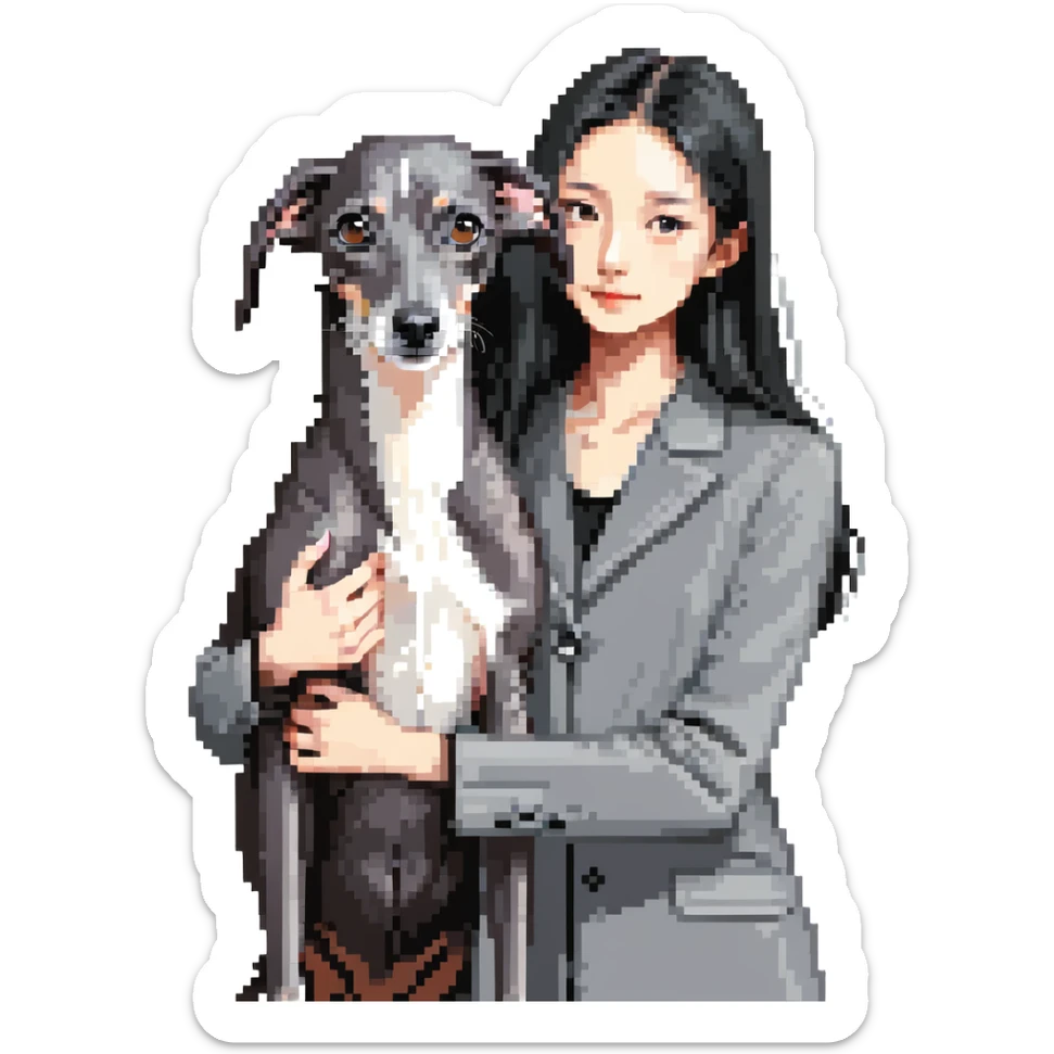 Slim Chinese girl with long black hair petting a dark grey Italian greyhound with a visible grey chest, no white markings anywhere sticker