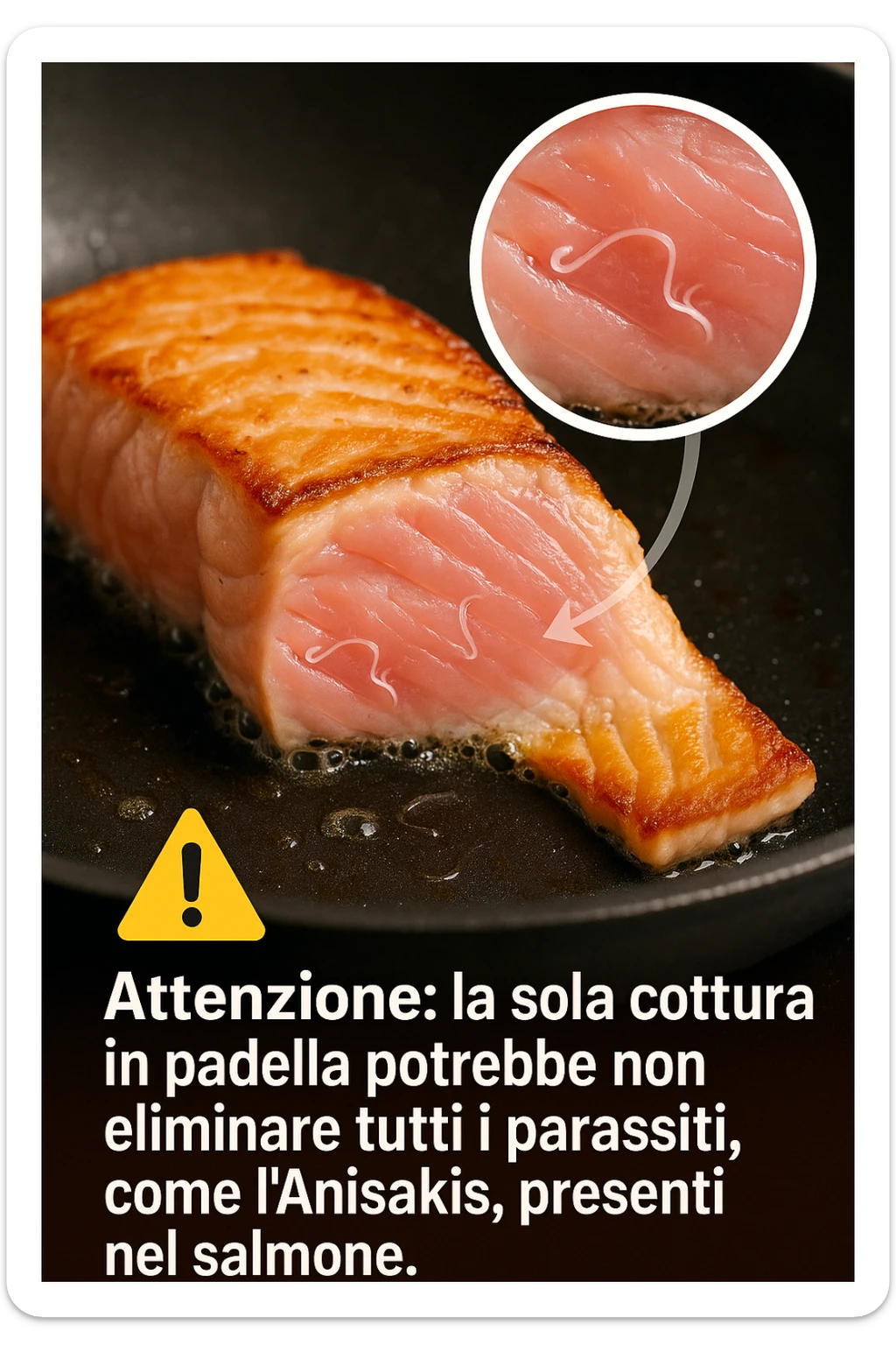a close-up of a salmon fillet being lightly seared in a hot pan, with the outer layer cooked but the inside still raw. An inset magnifies the interior, showing visible Anisakis parasites surviving in the uncooked portion. A warning icon and educational text explain that searing alone may not eliminate all parasites. in italiano sticker