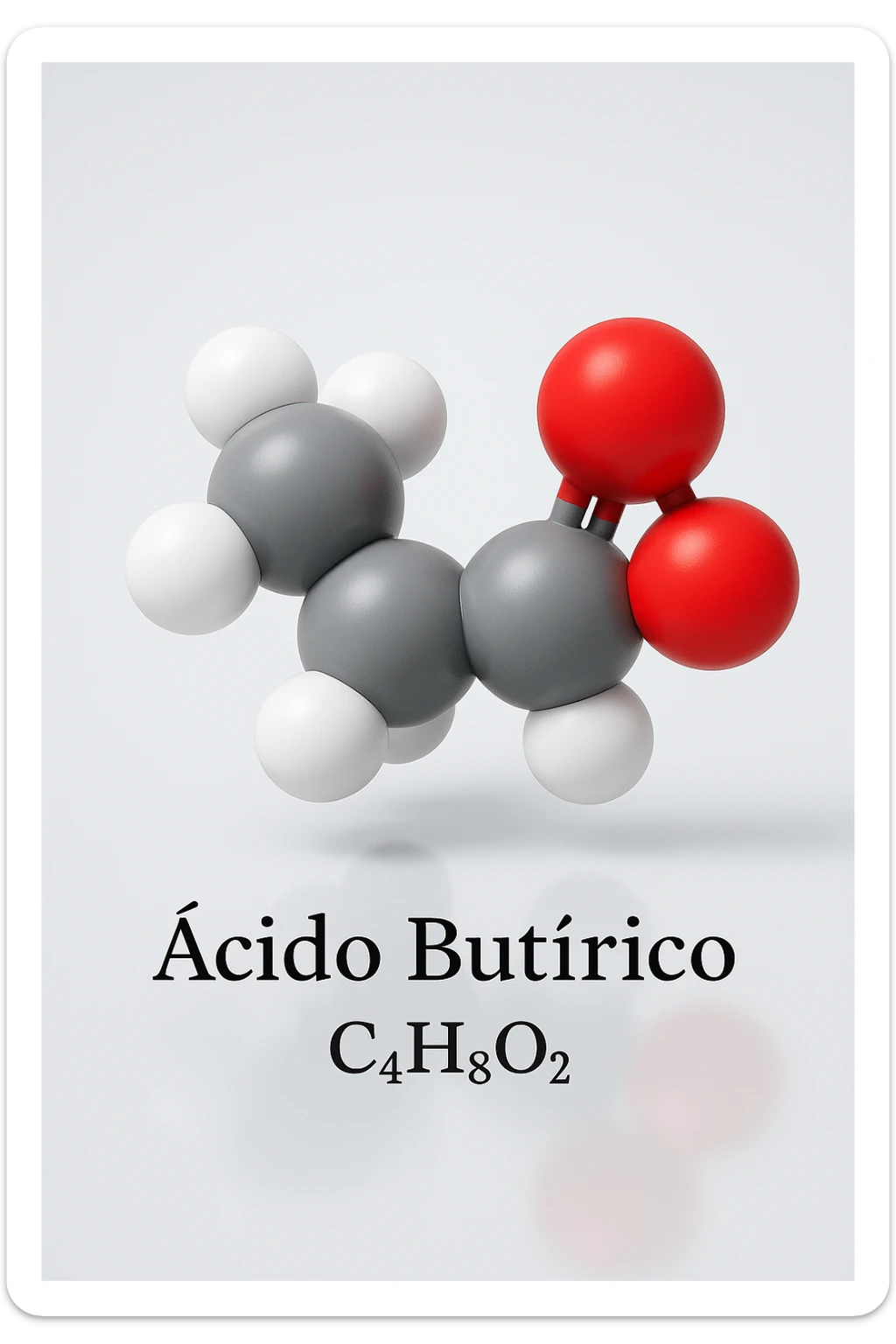 a detailed space-filling model of butyric acid, with each atom color-coded (carbon: gray, hydrogen: white, oxygen: red). The molecule is centered and slightly rotated to show depth, with a subtle reflection on the surface below. The name “Acido Butirrico” and the formula C4H8O2 appear as clear labels. sticker