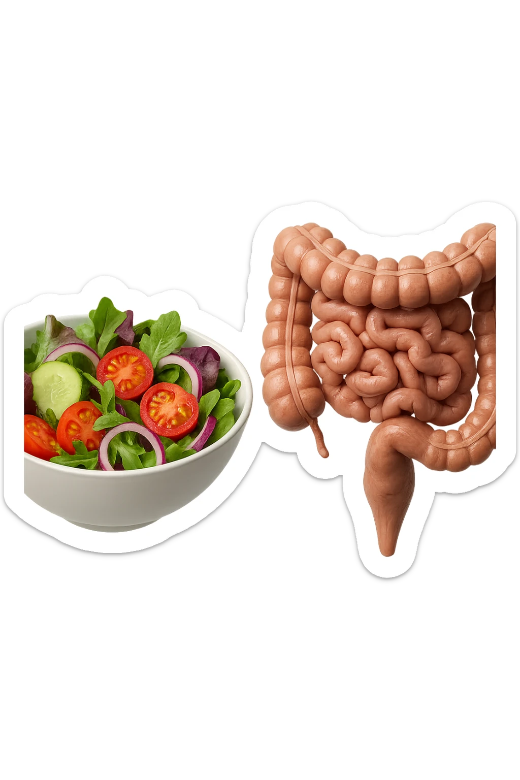 bowl di insalata fluttua in aria insieme ad intestino umano anatomico realistico, IPERREALISTICO 4K sticker