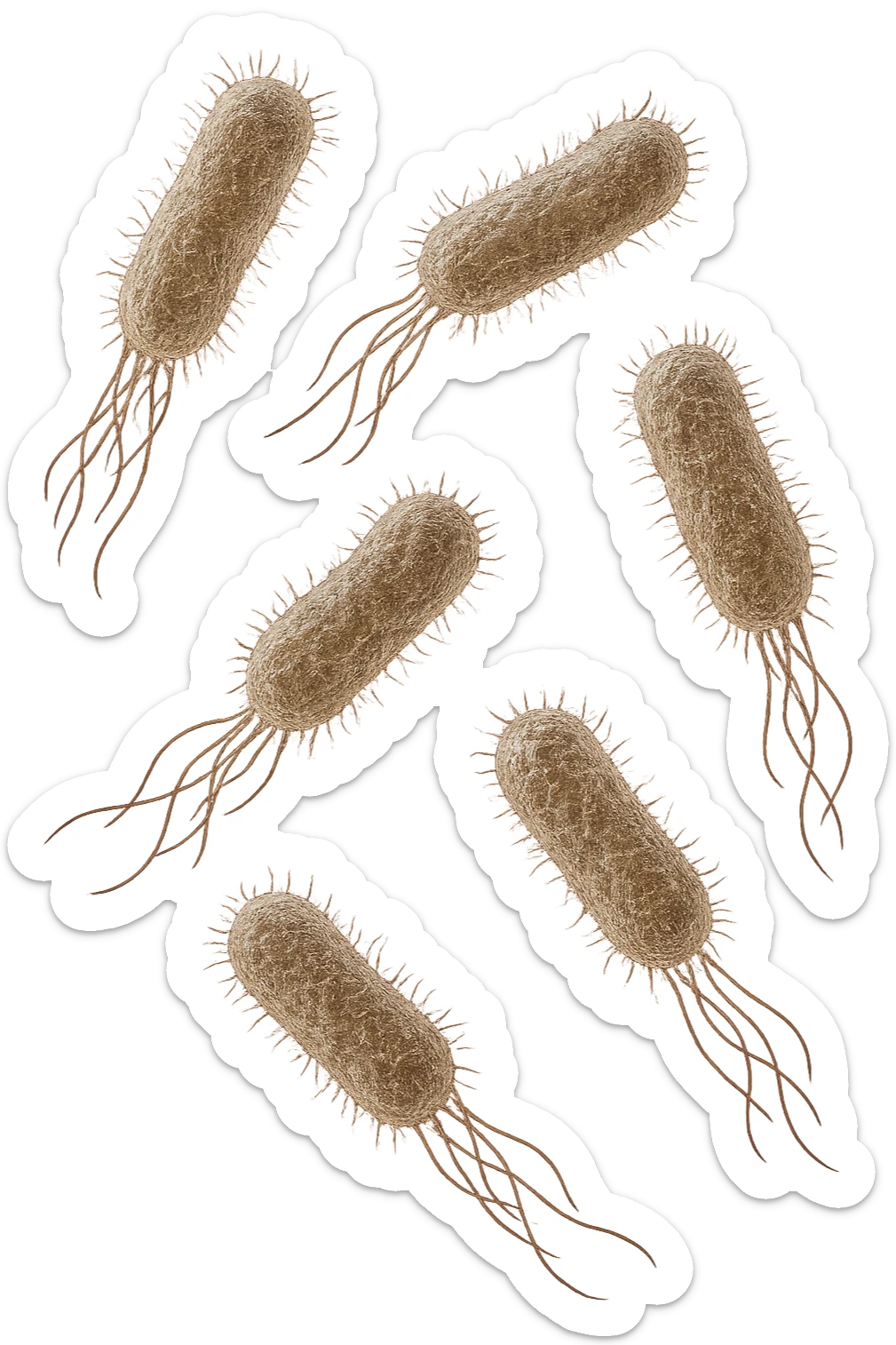 6 batteri intestinali iperrealistici sul bordeaux fluttuano in aria, iperrealistico 4k sticker
