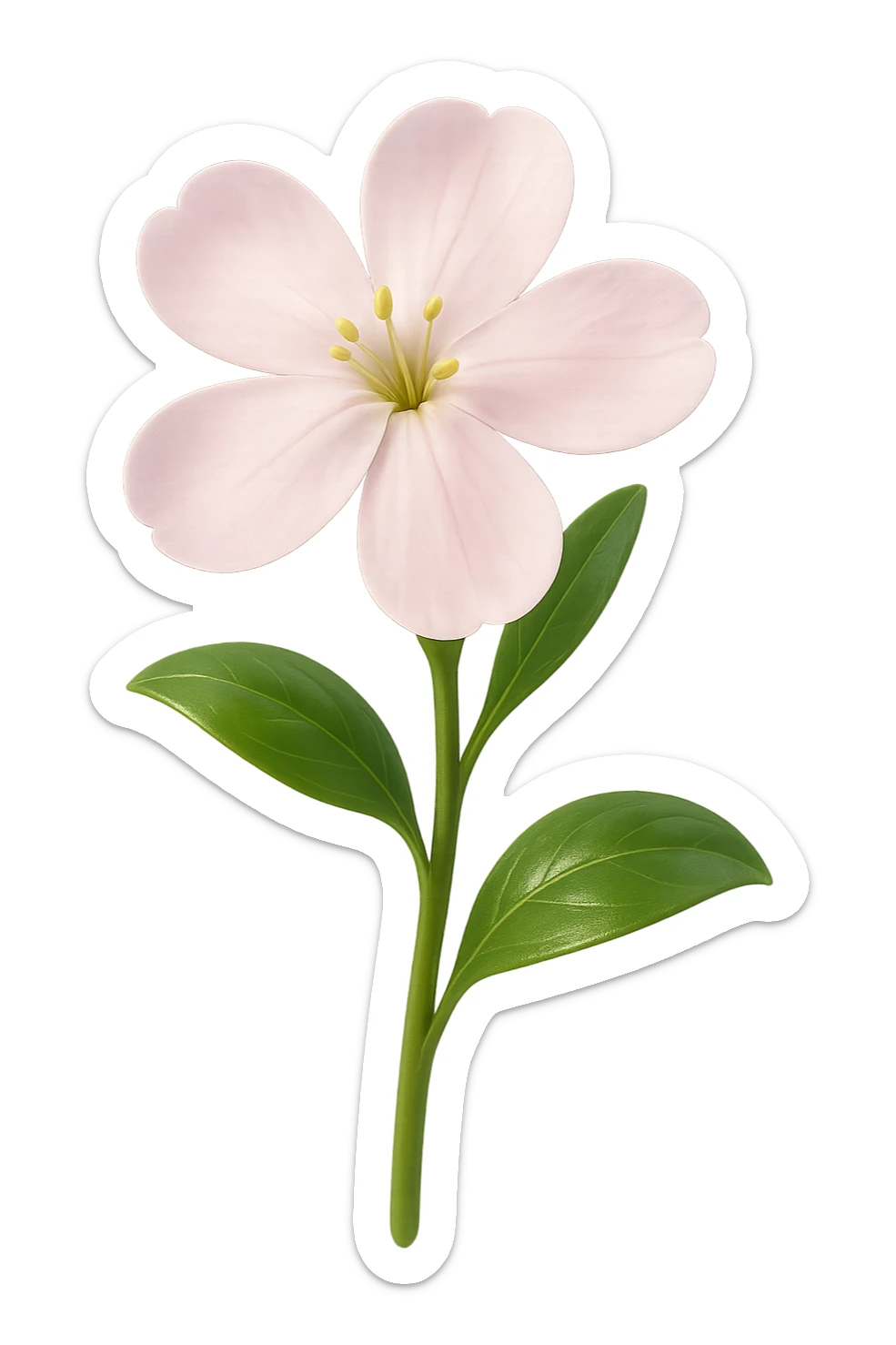3D iOS-style realistic soapwort (Saponaria) flower, delicate pale pink petals, green stem and leaves, soft lighting, glossy effect, no background sticker