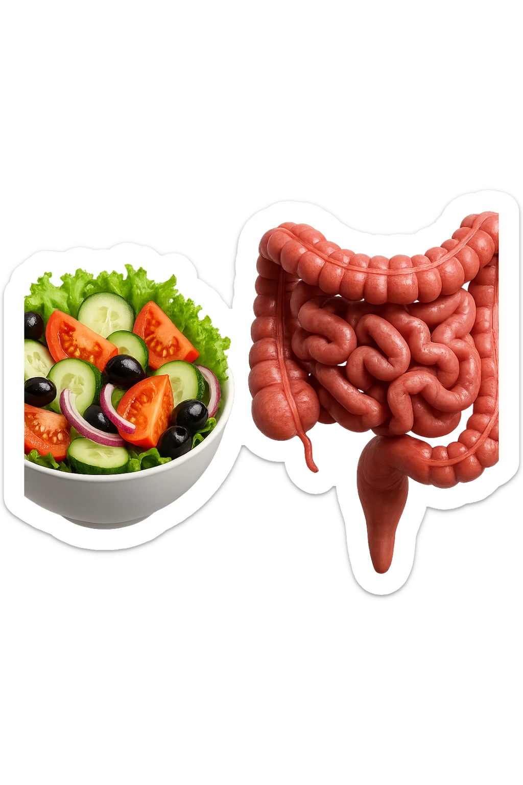 bowl di insalata fluttua in aria insieme ad intestino umano anatomico realistico, IPERREALISTICO 4K sticker