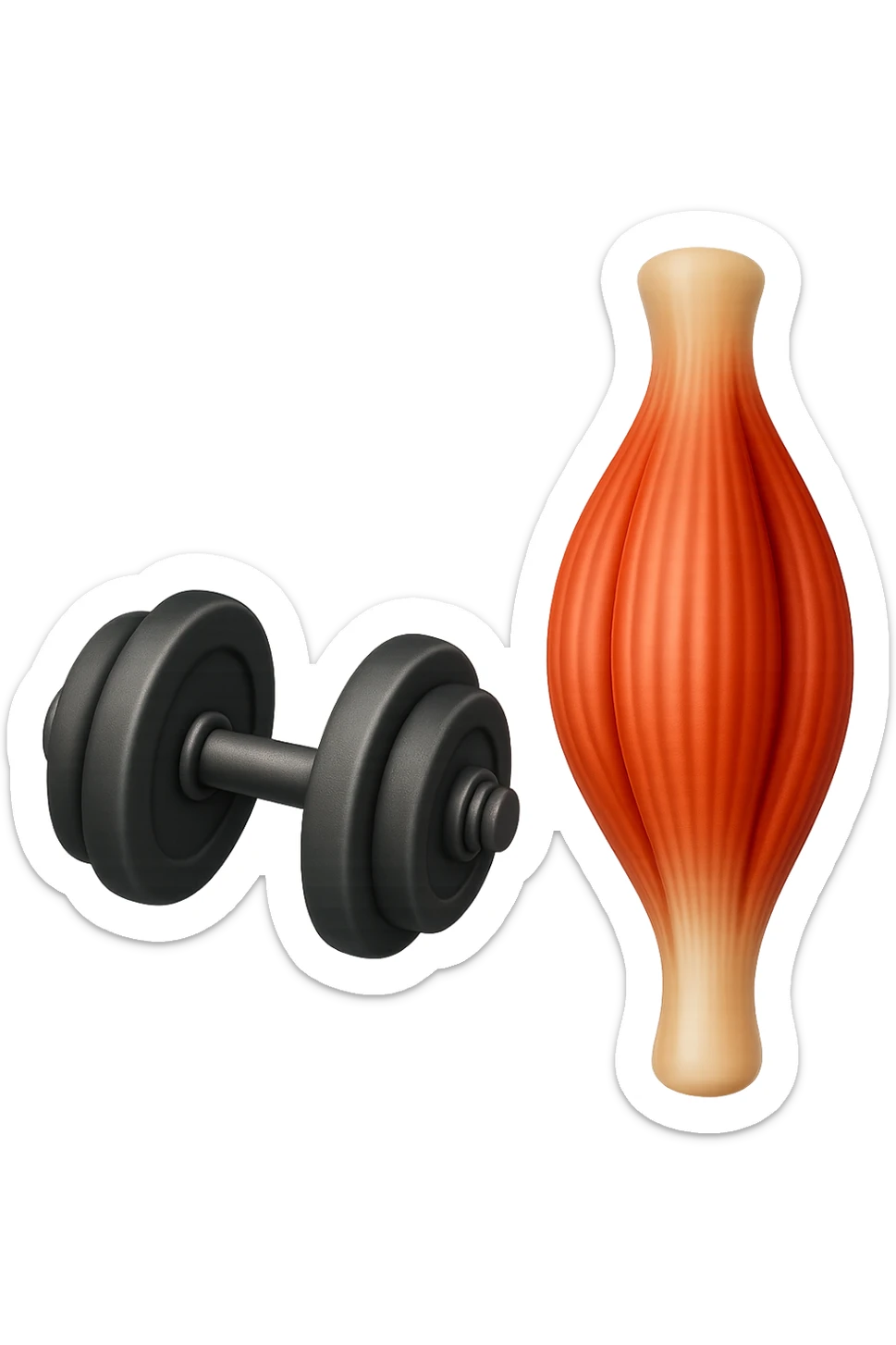 emoji stile iphone di un peso da palestra accanto ad emoji stile iphone di un muscolo umano anatomico, IPERREALISTICO 4K sticker