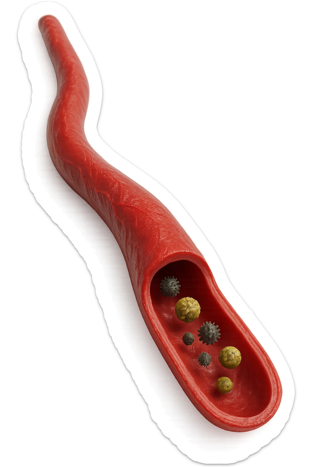 tossine che entrano in una vena umana anatomica realistica, vista dall'alto, iperrealistica 4k sticker