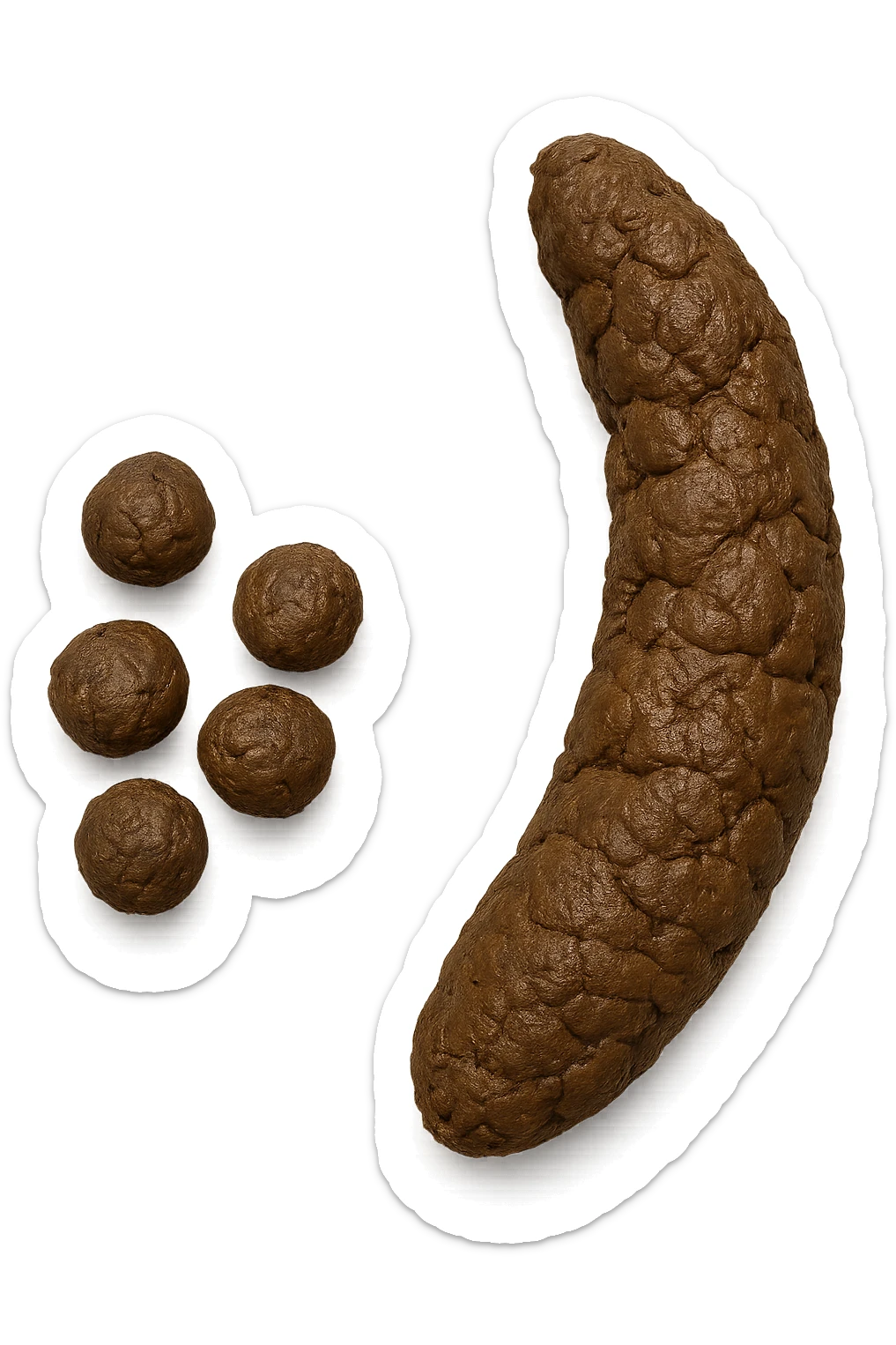 immagine di due tipi di feci iperrealistiche viste dall'alto con descrizione:
Tipo 1 – Feci caprine
Palline dure, separate, simili a noci

Tipo 2 – Feci a forma di salsiccia ma grumose
Massicce e disidratate.
 sticker