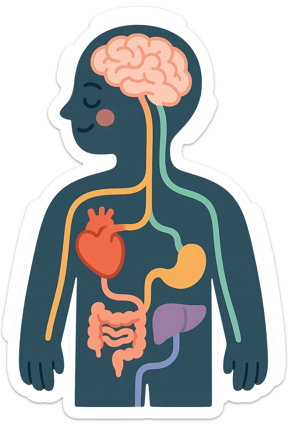 silhouette of a person with colorful lines connecting the brain and various organs, symbolizing the connection between mind and body, pastel toon style, clear contours, soft shadows and highlights, transparent background, white outline sticker
