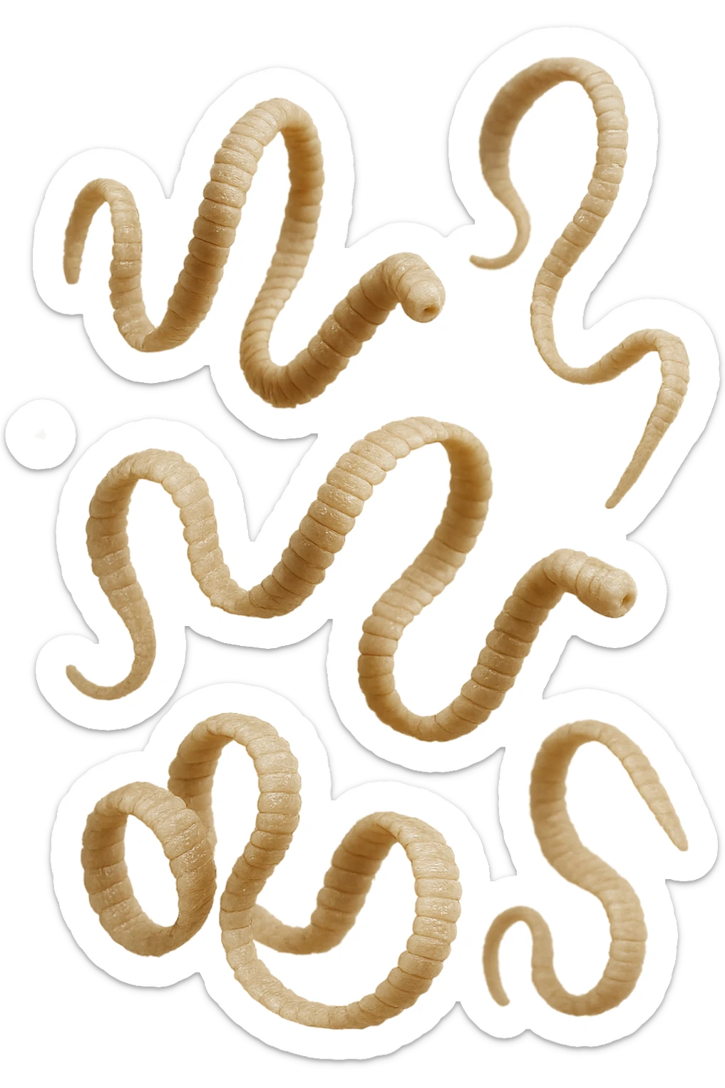 sei parassiti come la tenia iperrealistici 4k fluttuano in aria sticker