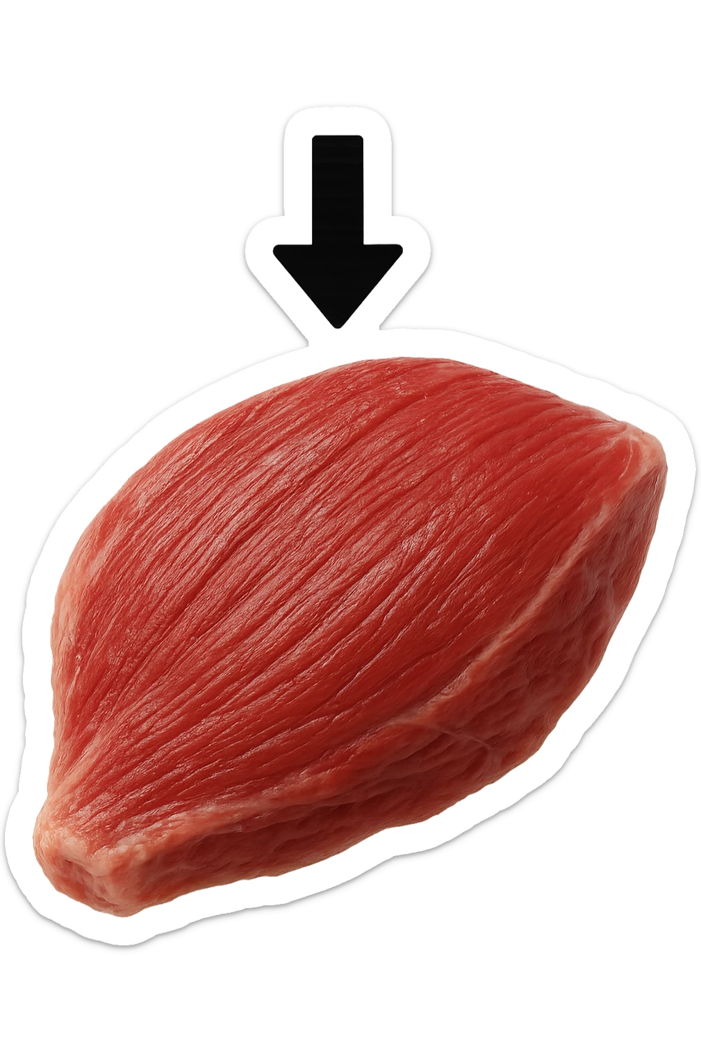 porzione di tessuto muscolare umano iperrealistico con freccia giù sticker