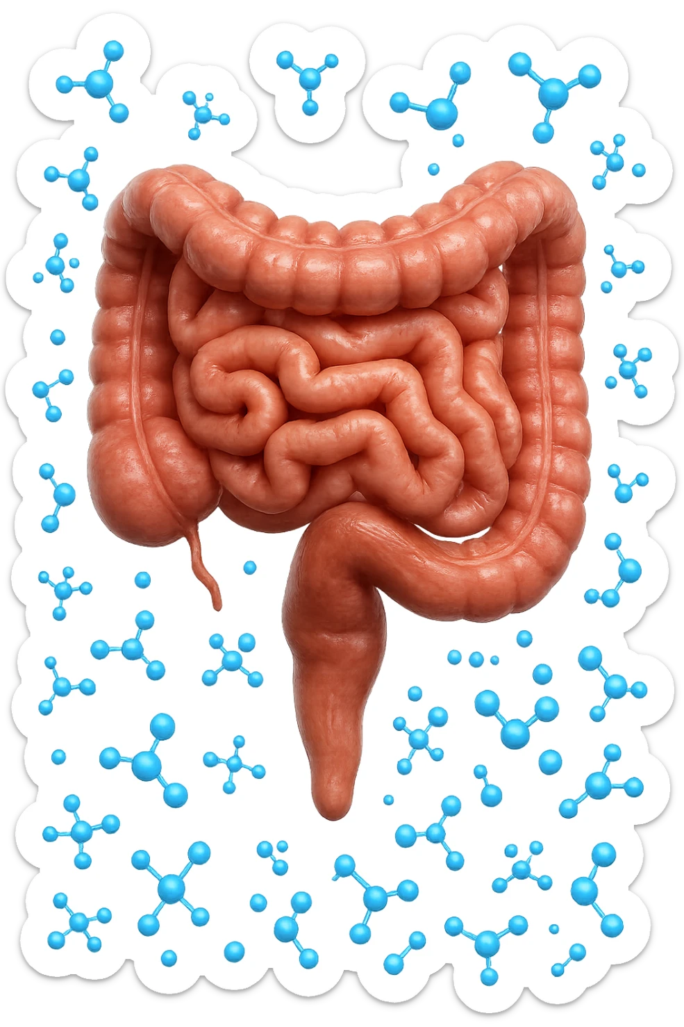 INTESTINO UMANO ANATOMICO CON MOLECOLE CHIMICHE BLU IN 3D CHE GLI FLUTTUANO INTORNO, IPERREALISTICO 4K sticker