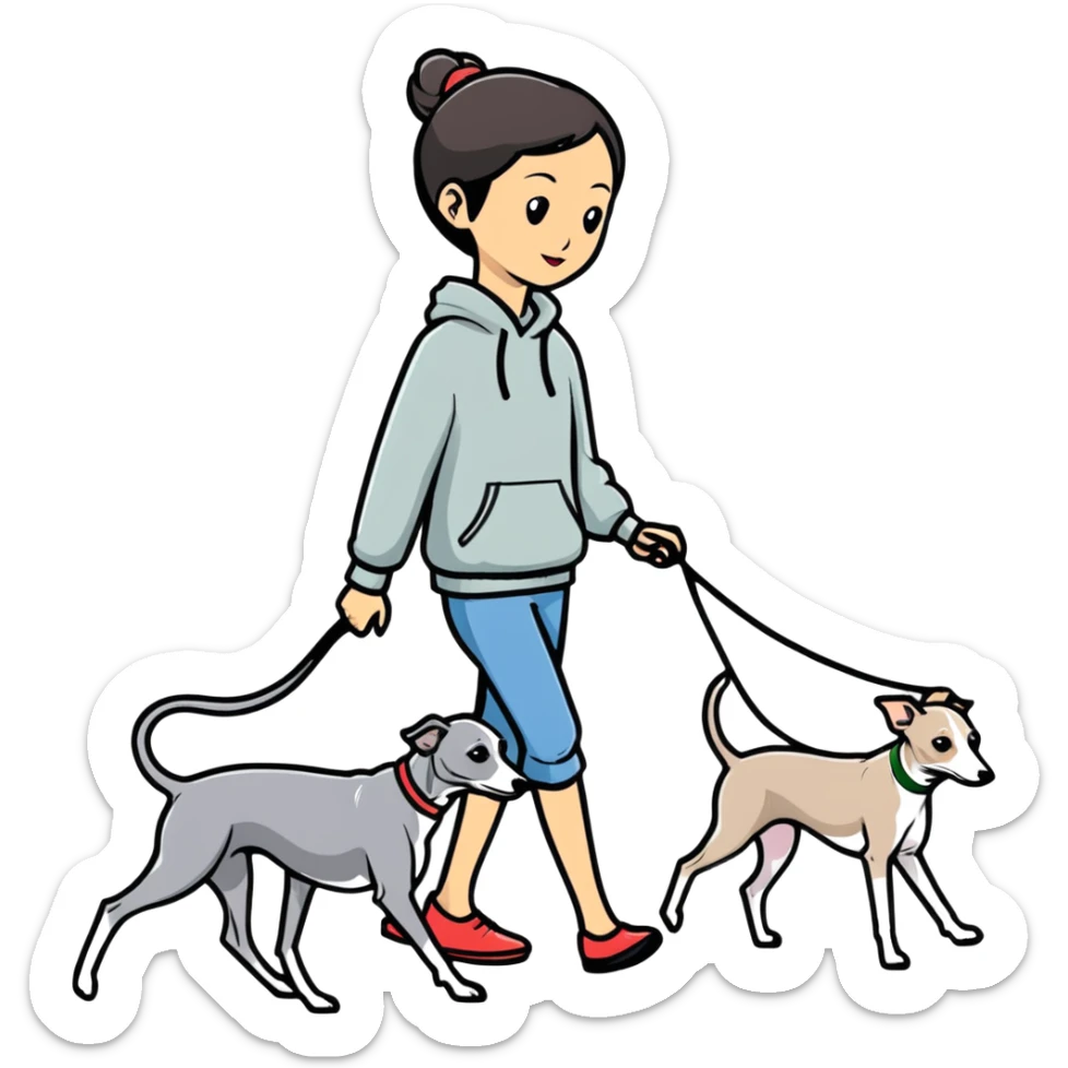 Asian girl walking an all grey Italian greyhound with no white nose, completely grey dog sticker