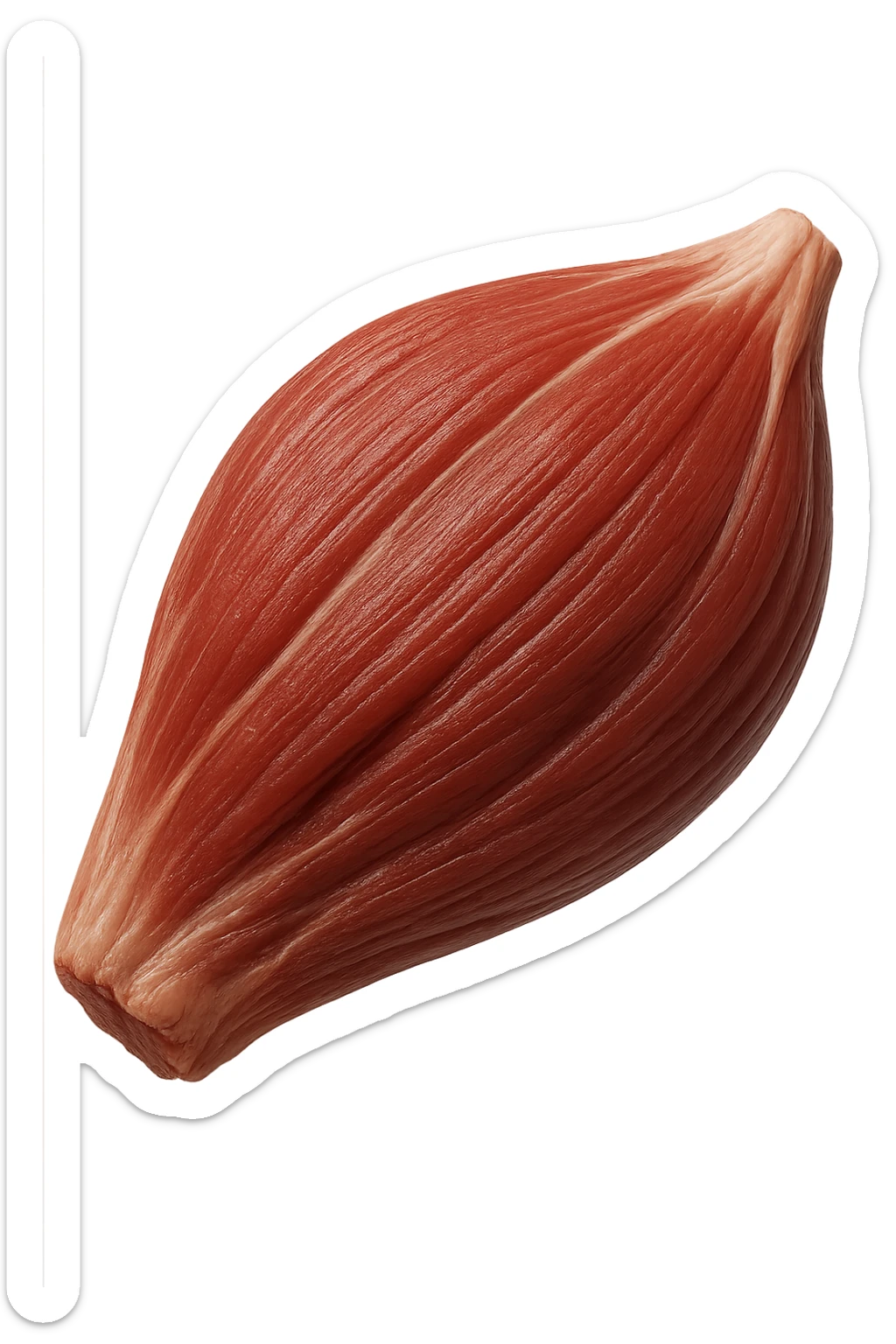 porzione di tessuto muscolare umano iperrealistico fluttua in aria, iperrealistico 4k sticker