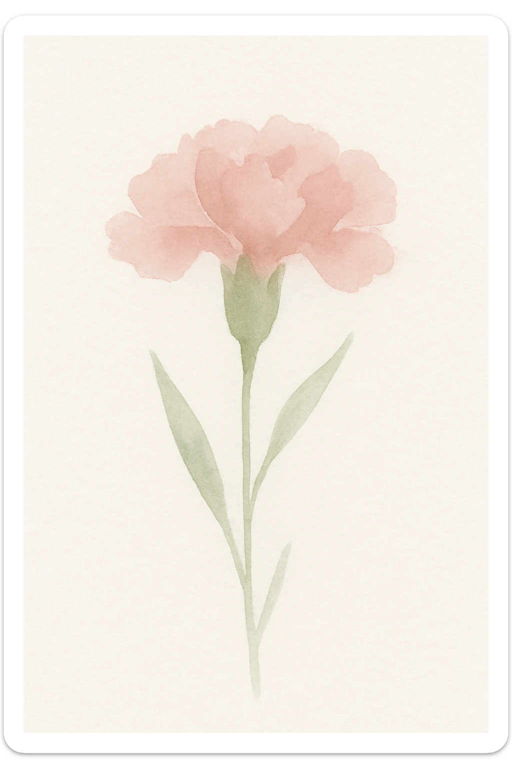 watercolor illustration of a carnation flower, soft pink and green, gentle brushstrokes sticker
