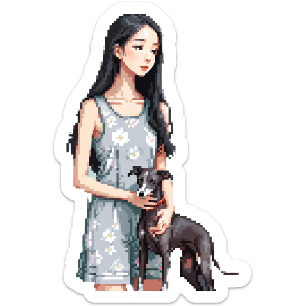 Slim Chinese woman with long black hair in a cute summer outfit with her completely solid grey Italian greyhound looking out a window on a sunny day, the dog has absolutely no white markings anywhere sticker