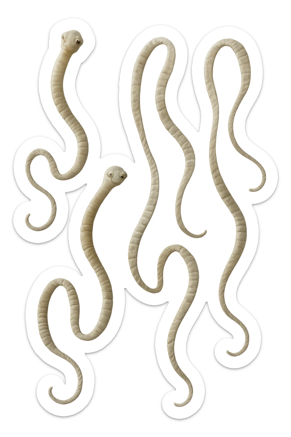 CINQUE PARASSITI COME LA TENIA FLUTTUANO IN ARIA, iperrealistico 4k sticker