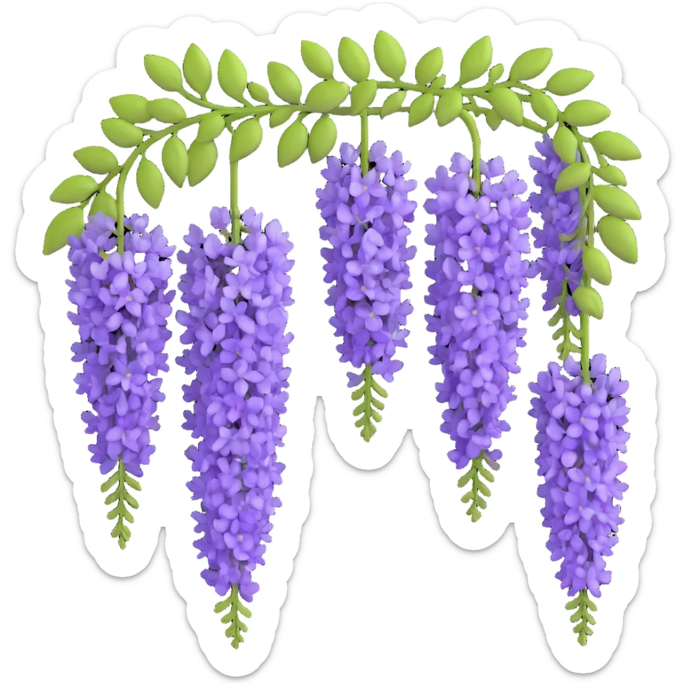 Detailed wisteria blossom with hanging clusters of lavender flowers in pendulous racemes and delicate green foliage sticker