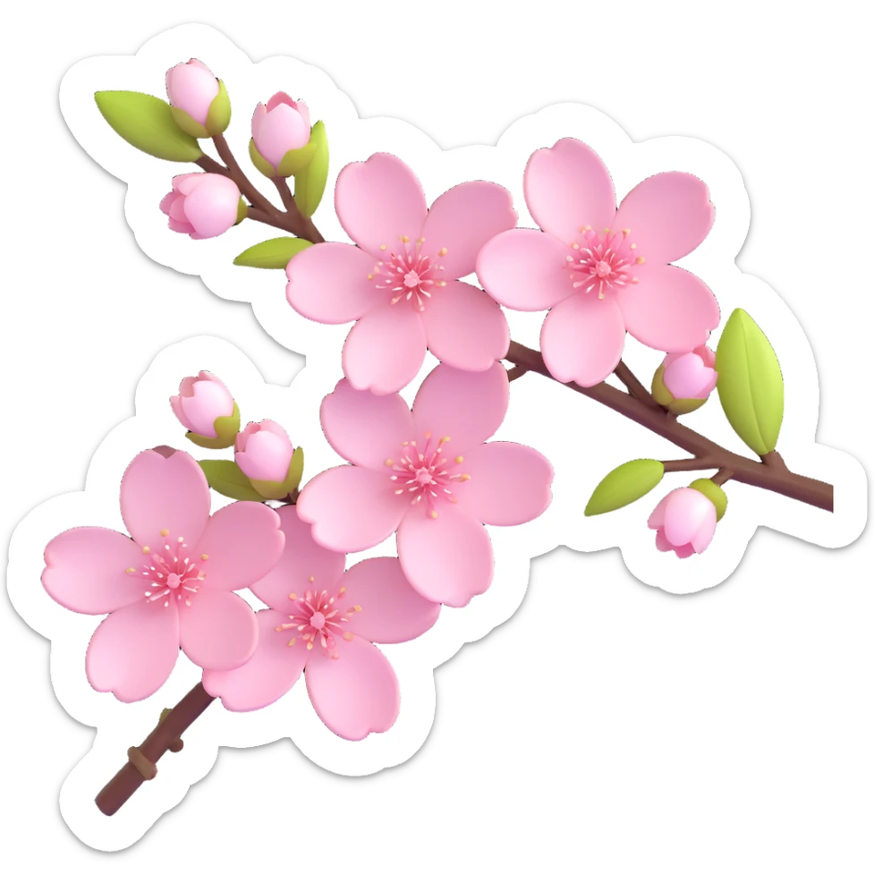 elegant cherry blossom flowers on a branch, glossy, soft pink and white petals, modern and fresh sticker