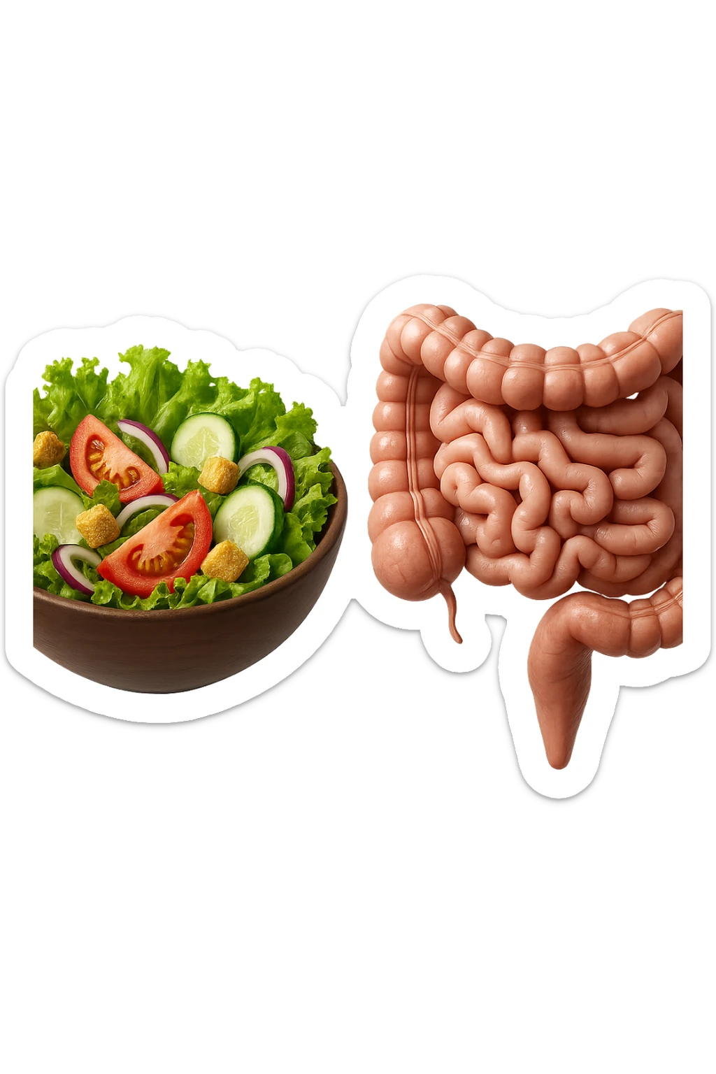 bowl di insalata fluttua in aria insieme ad intestino umano anatomico realistico, IPERREALISTICO 4K sticker
