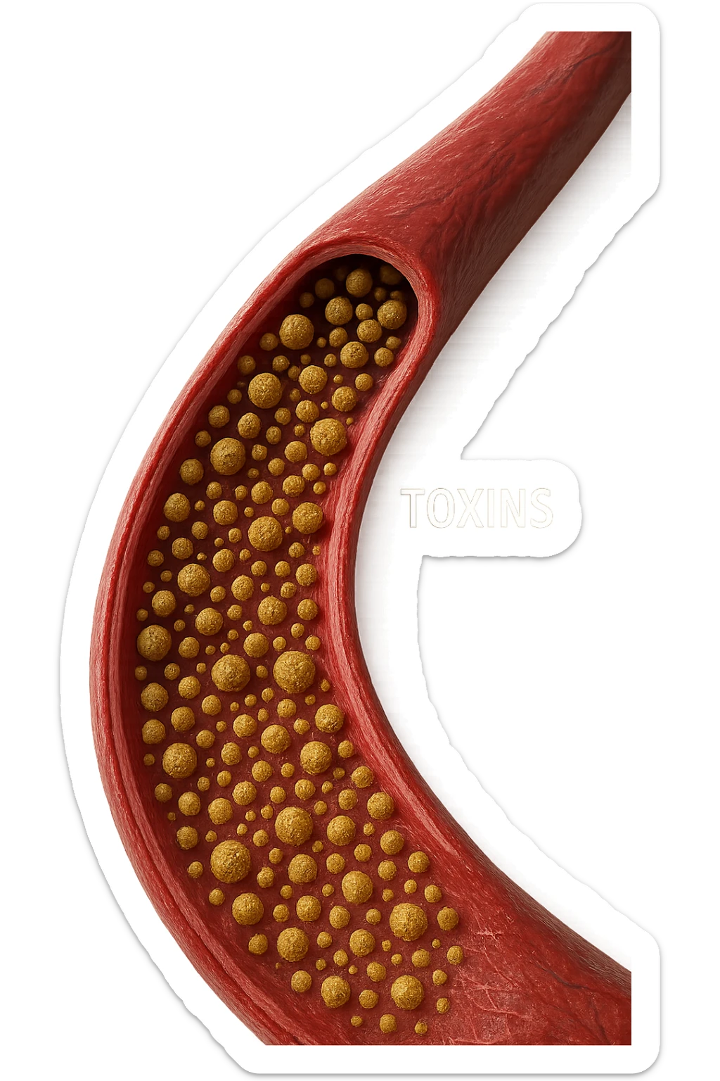 tossine che entrano in una vena umana anatomica realistica, vista dall'alto, iperrealistica 4k sticker