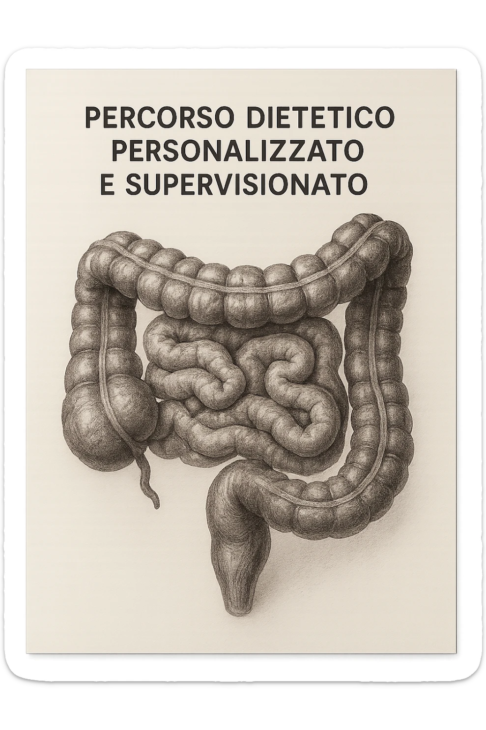 foglio di carta con intestino disegnato sopra e la scritta "percorso dietetico personalizzato e supervisionato", iperrealistico 4k sticker