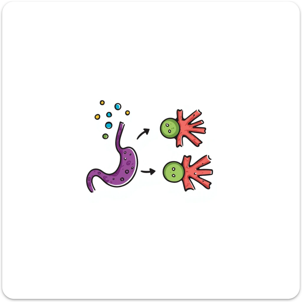 Anatomical diagram of anti-diabetic mechanism: purple pancreas releasing blue insulin molecules, red blood vessels with yellow glucose particles, green cell receptors accepting insulin. Hand-drawn illustration showing glucose regulation with arrows indicating reduced blood sugar levels. sticker