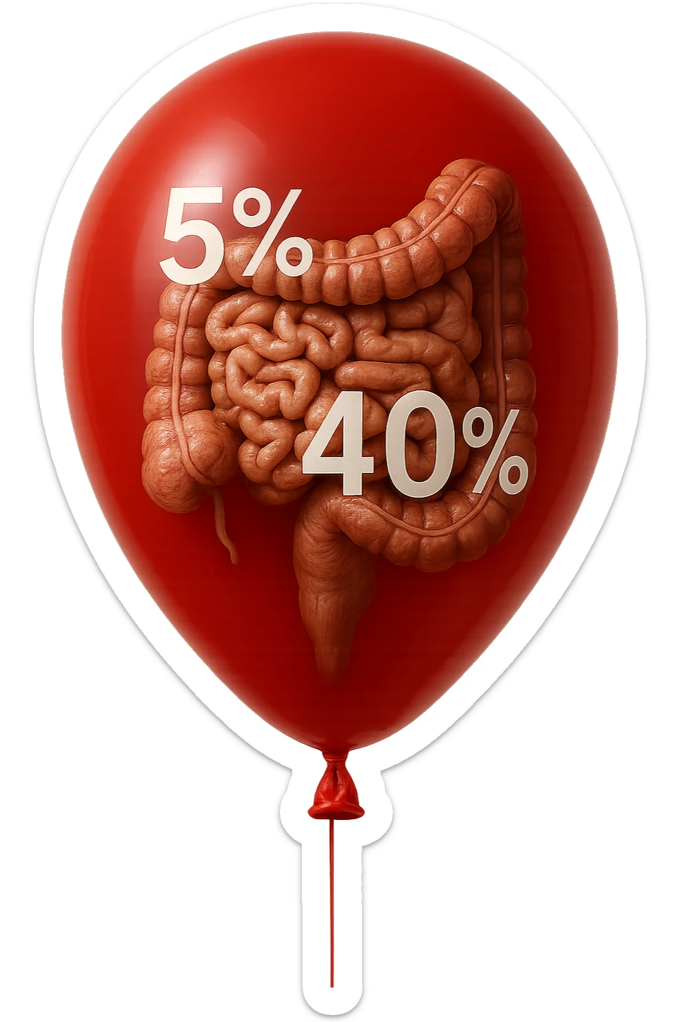 intestino umano anatomico chiuso in un palloncino rosso con la scritta 5% e 40% dentro insieme all'intestino, iperrealistico 4k sticker