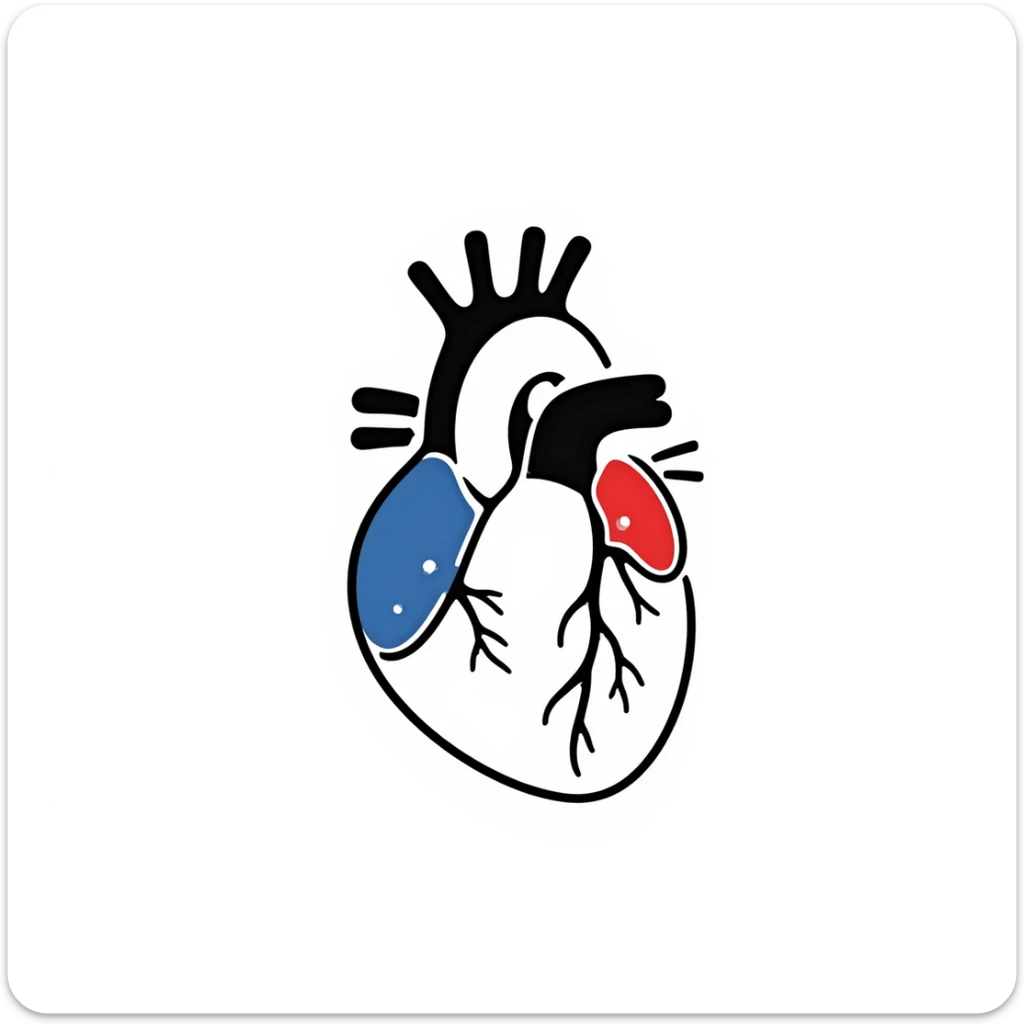 A hand-drawn anatomical heart with detailed chambers and arteries in medical diagram style, showing blue veins and red arteries, with clear internal structure, oxygenated blood in red and deoxygenated blood in blue sticker