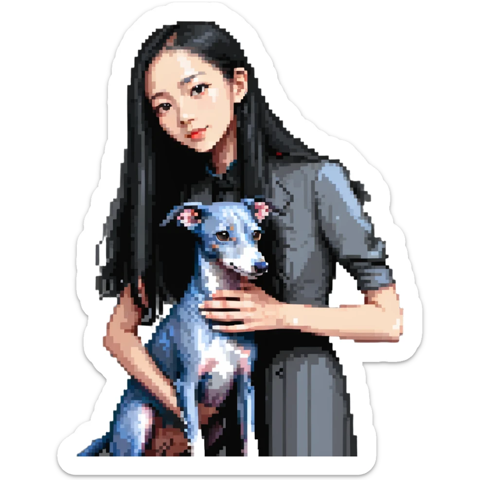 Slim Chinese girl with long black hair petting completely solid grey Italian greyhound with absolutely no white markings anywhere sticker